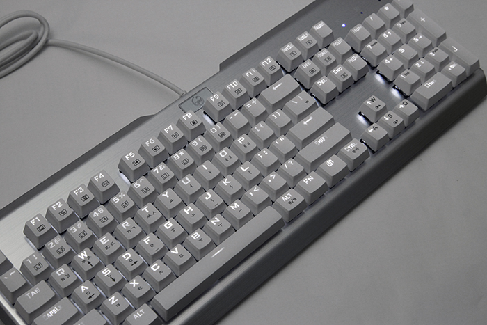 _MG_3711.JPG