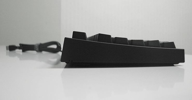IMG_3745_cut_resize.gif